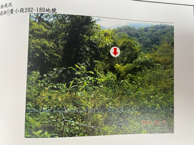 圖片已下架