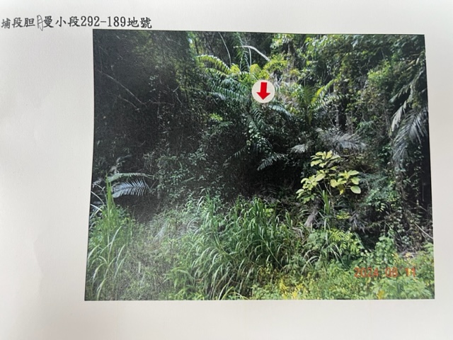 圖片已下架