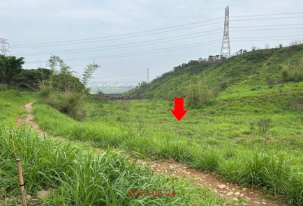 圖片已下架