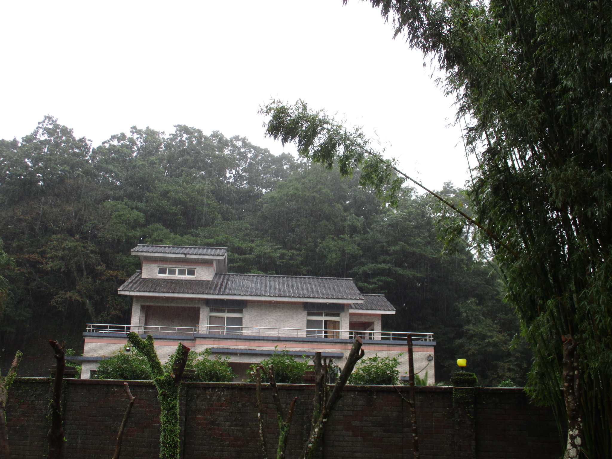 圖片已下架