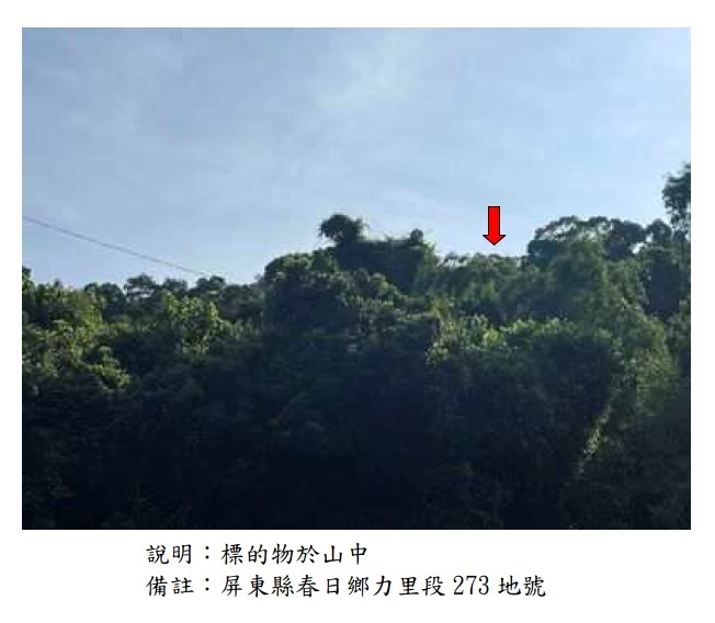 圖片已下架