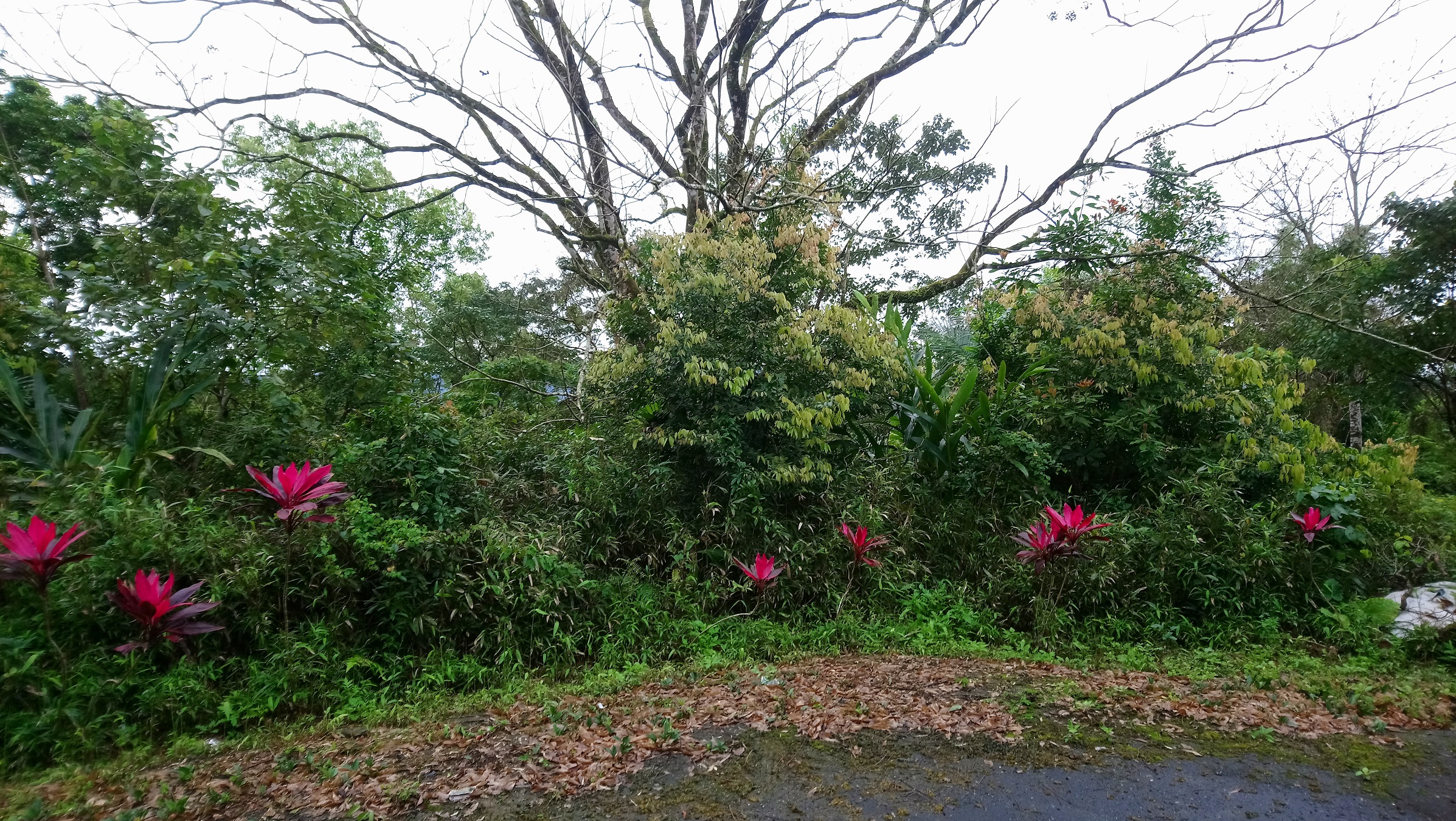 圖片已下架