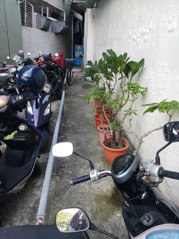 圖片已下架