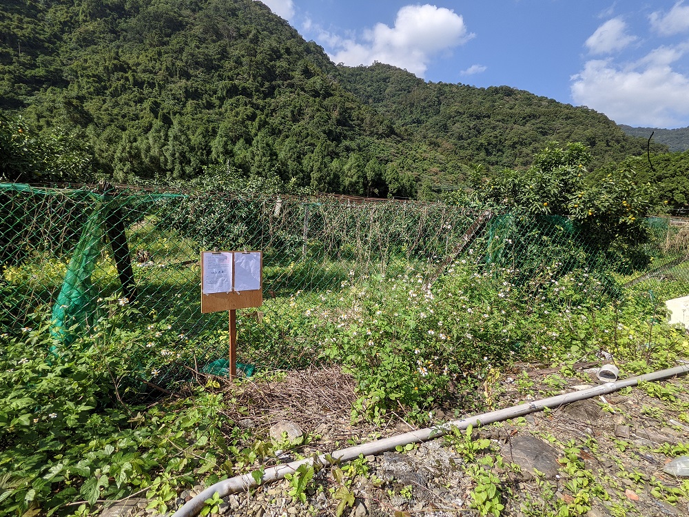 圖片已下架