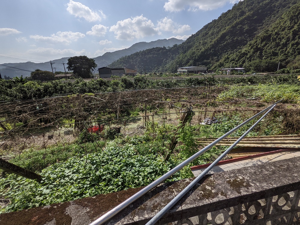 圖片已下架