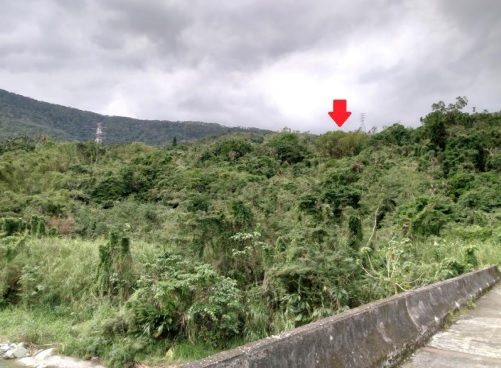 圖片已下架