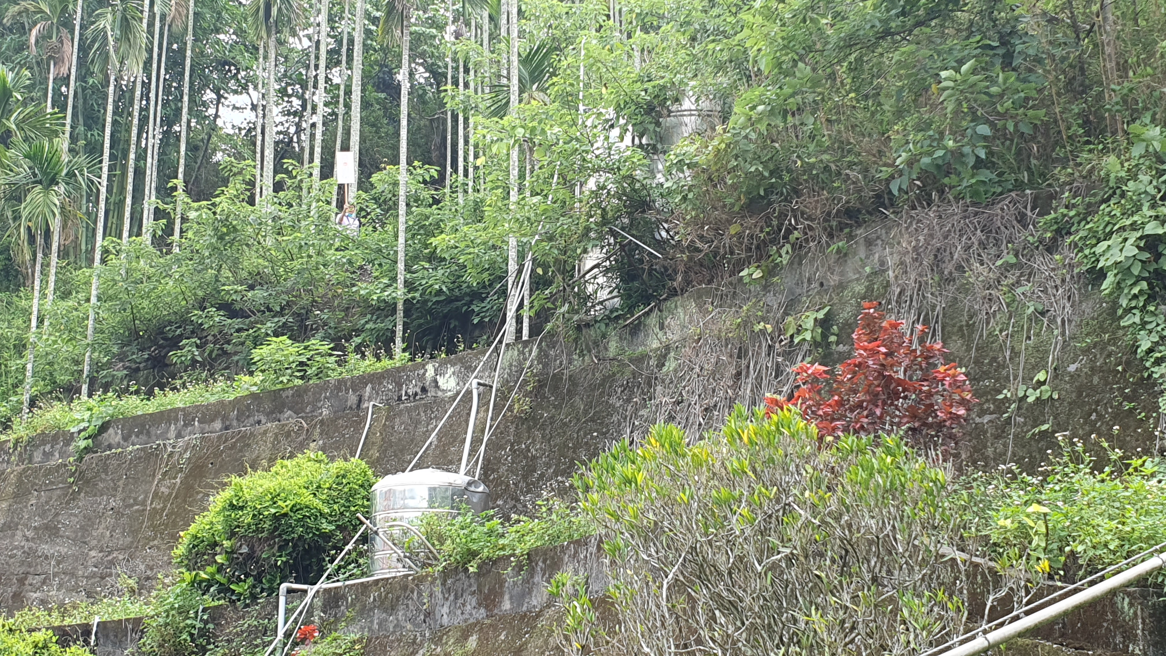 圖片已下架