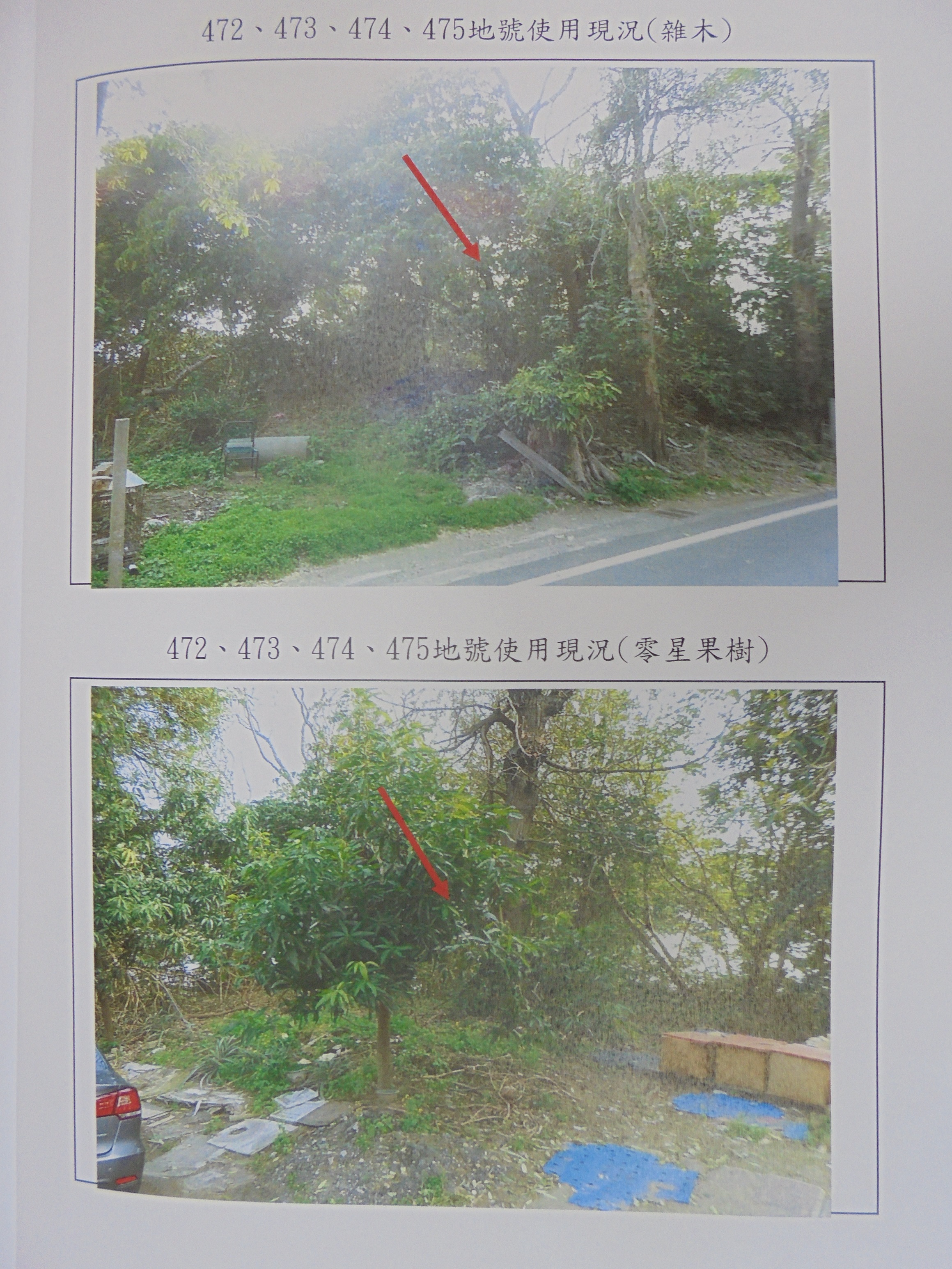 圖片已下架