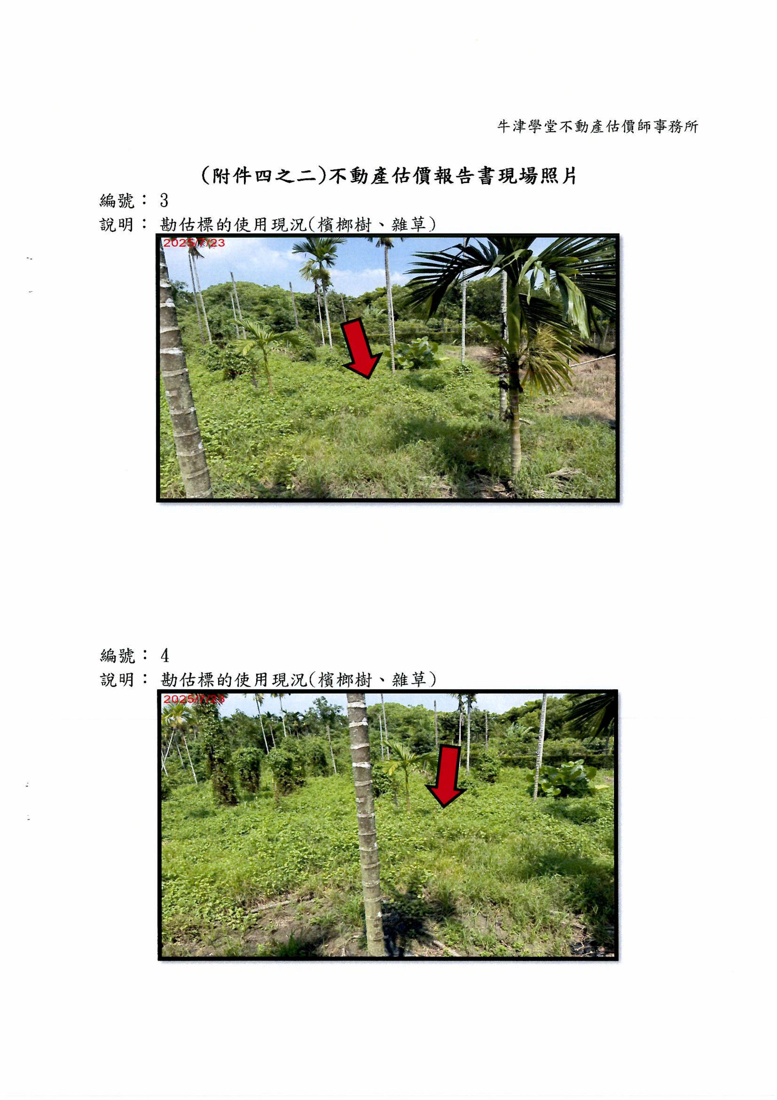 圖片已下架