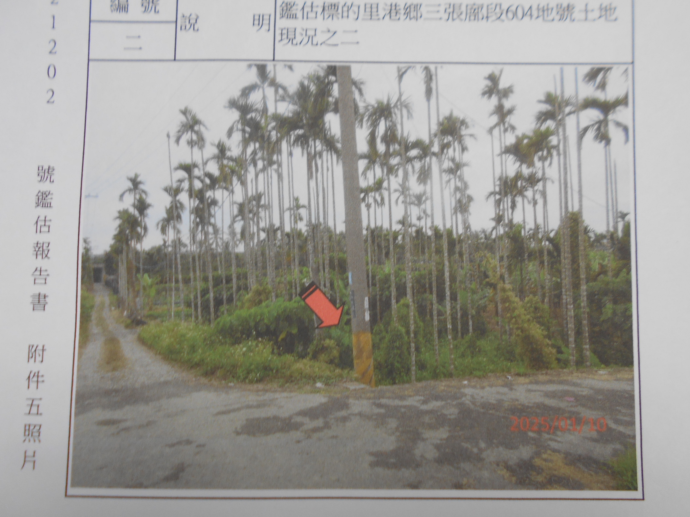 圖片已下架