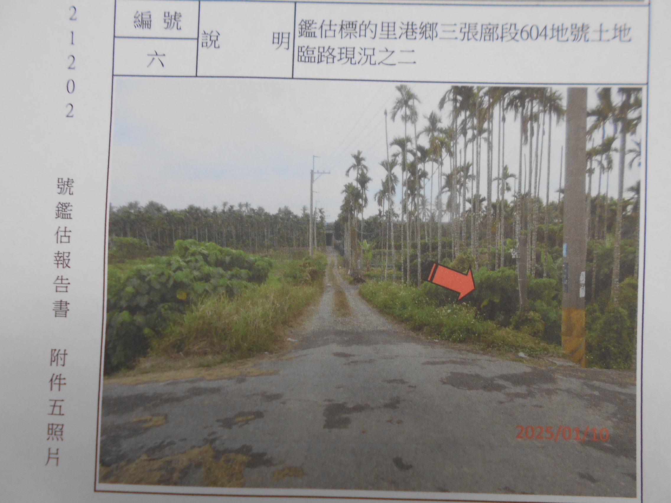 圖片已下架