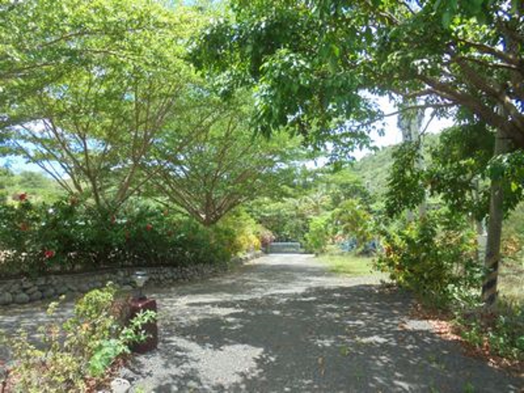 圖片已下架