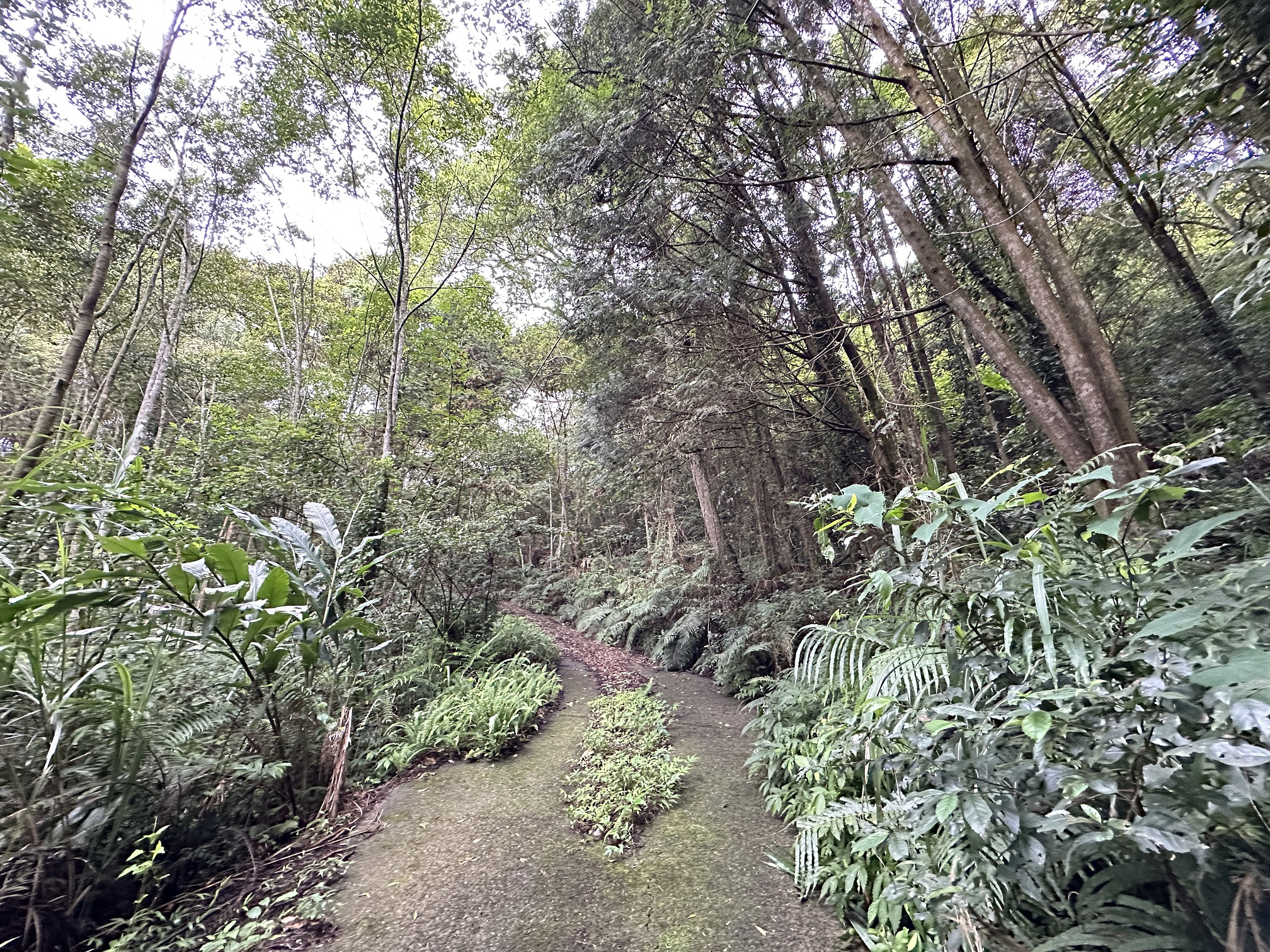 圖片已下架