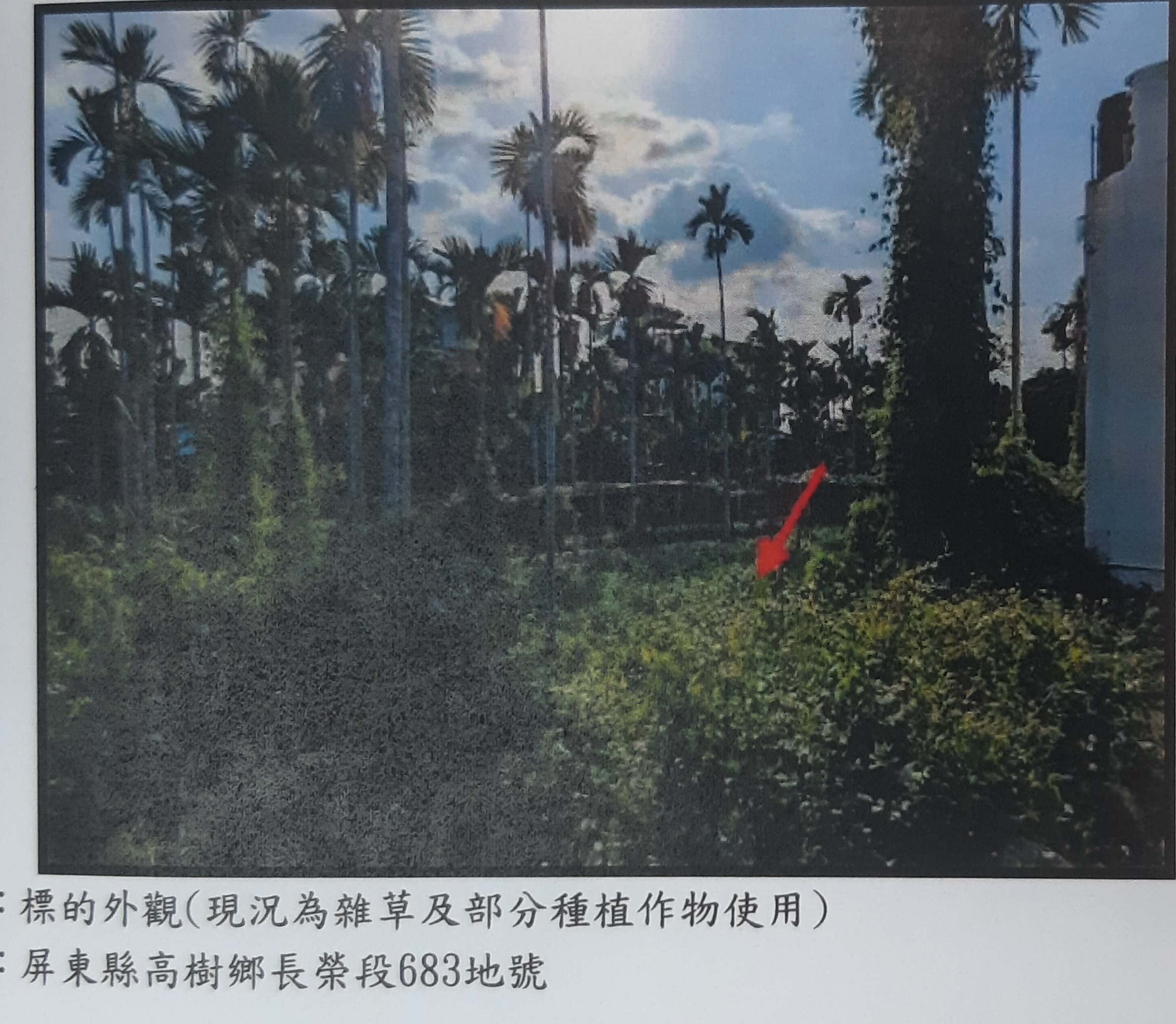 圖片已下架